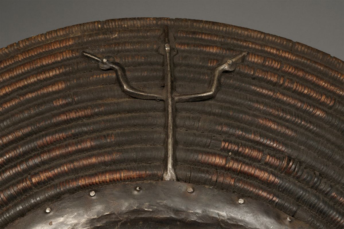 <?php echo Domed Cane Shield?>