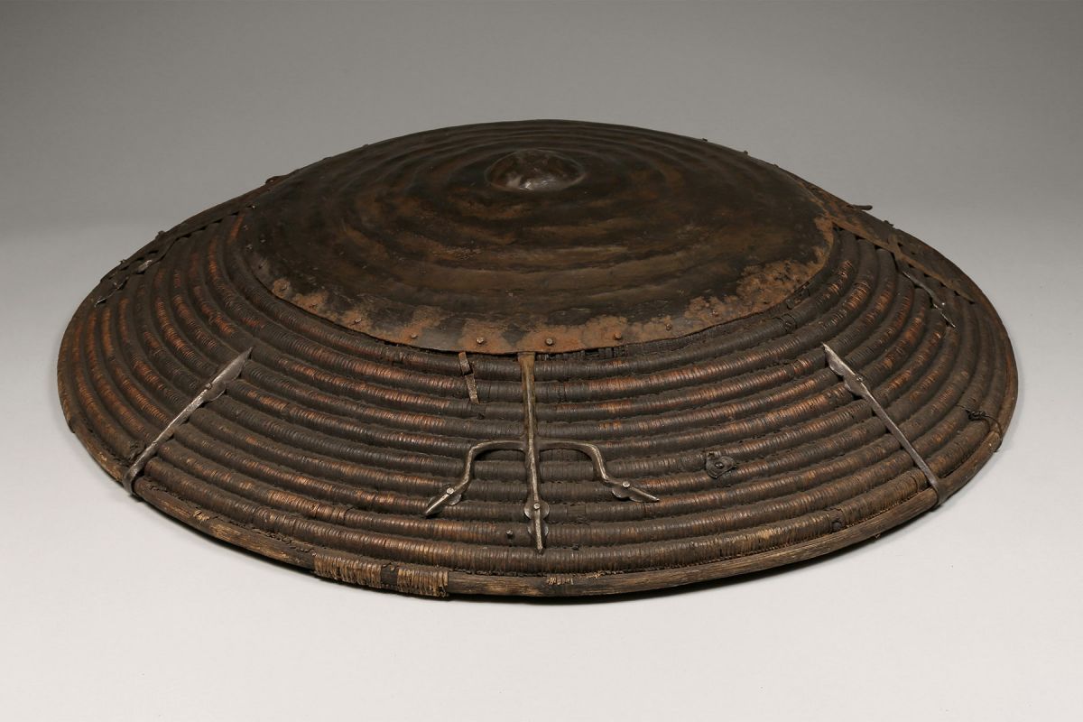 <?php echo Domed Cane Shield?>