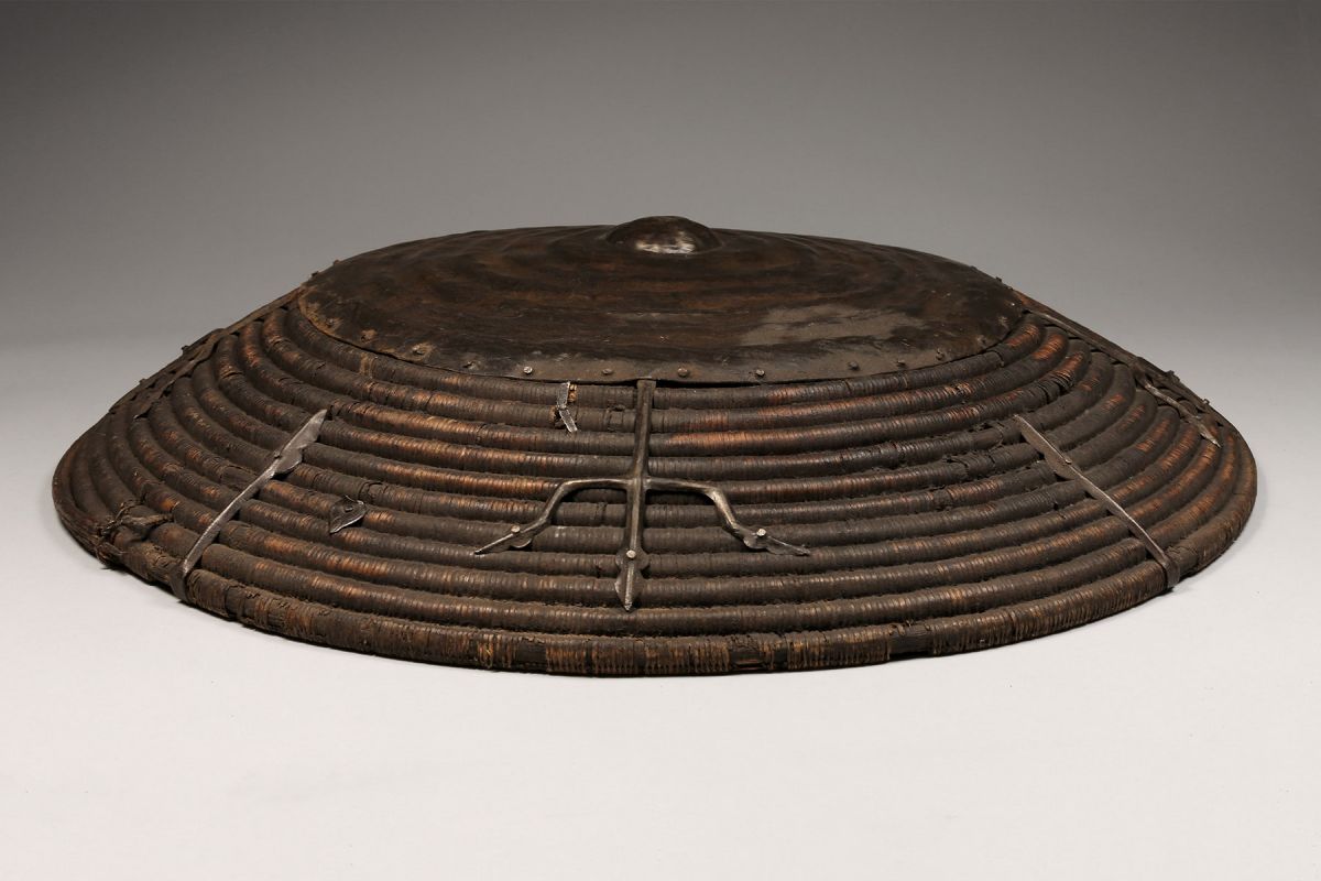 <?php echo Domed Cane Shield?>