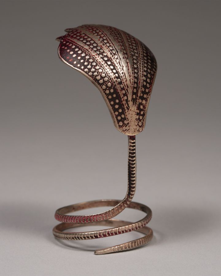 <?php echo Cobra Lingham Cover?>