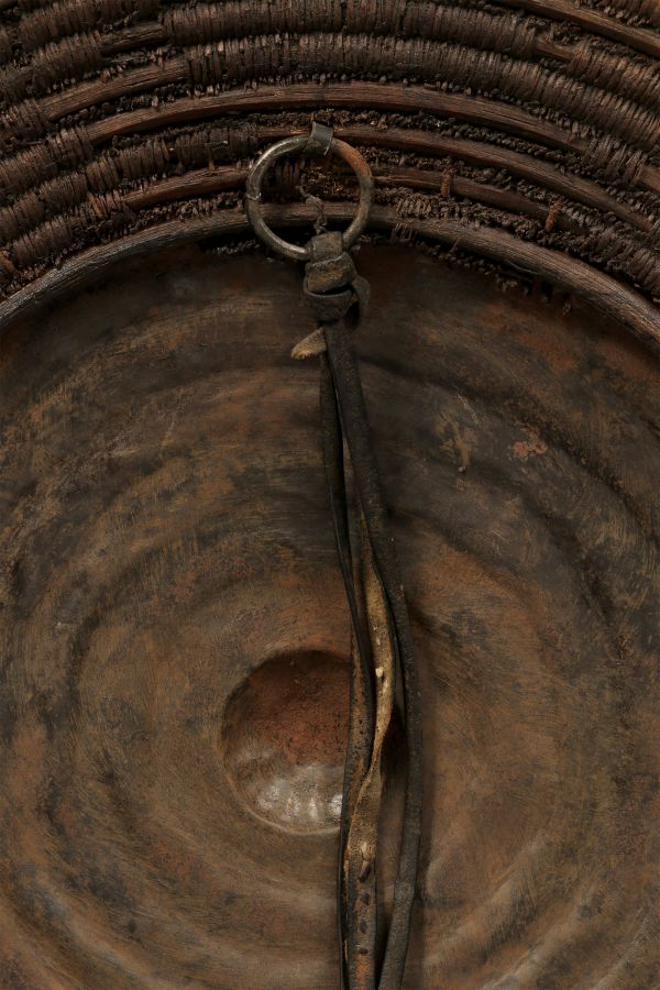 <?php echo Domed Cane Shield?>