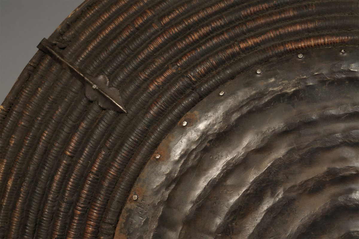 <?php echo Domed Cane Shield?>