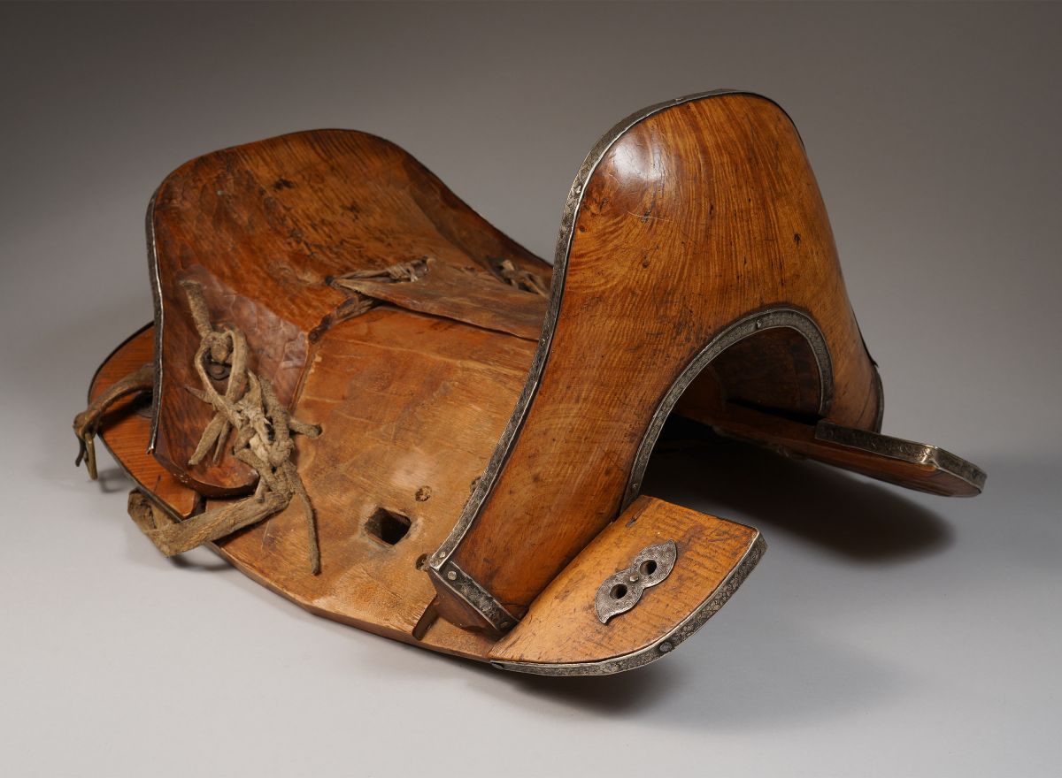 <?php echo Horse Saddle?>