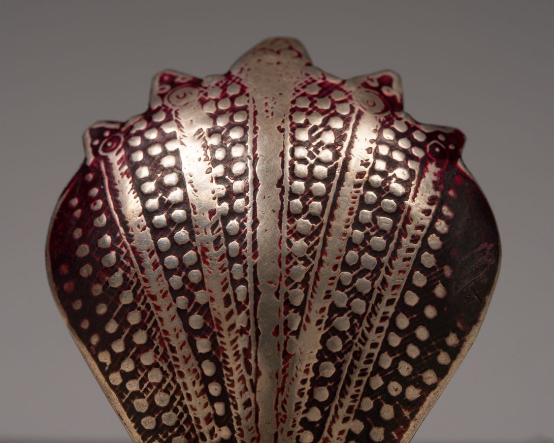 <?php echo Cobra Lingham Cover?>