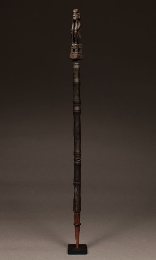 <?php echo Pig Stick, Tun Tun Babi?>