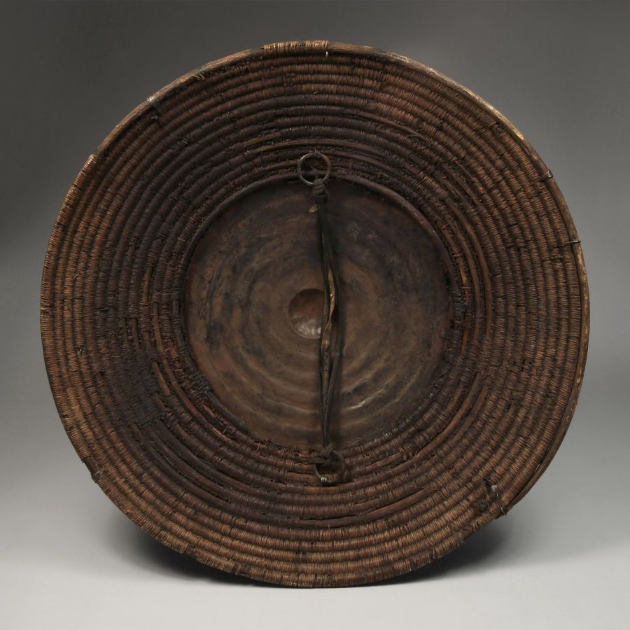 <?php echo Domed Cane Shield?>