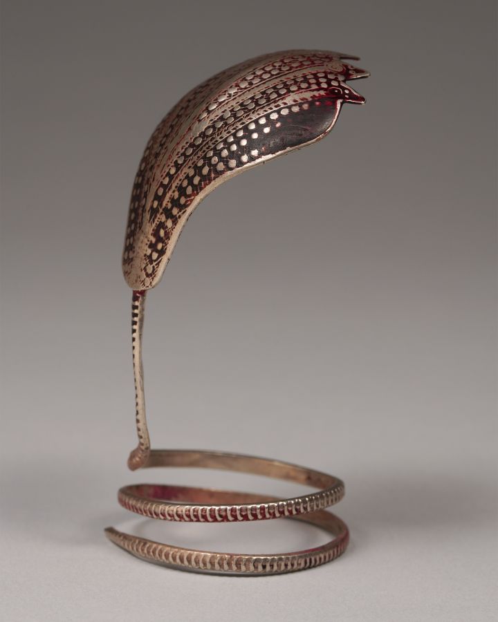 <?php echo Cobra Lingham Cover?>