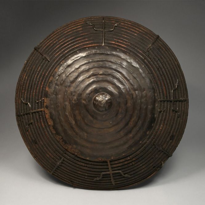Domed Cane Shield