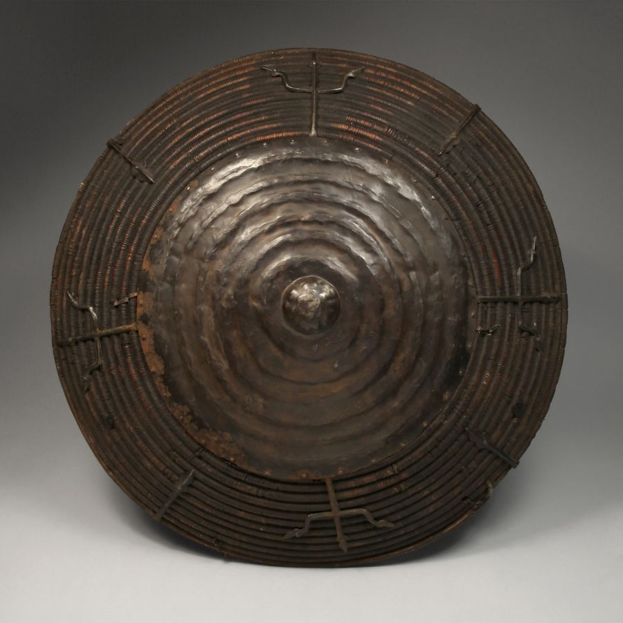 <?php echo Domed Cane Shield?>